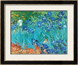 Irises  c1889