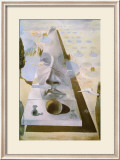 Apparition of the Face of Aphrodite