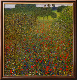 Field of Poppies