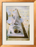Apparition of the Face of Aphrodite