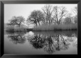 Prospect Park Morning