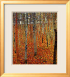 Beach Forest