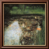 The Swamp