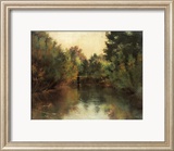 Secluded Pond