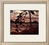 West Wind