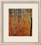 Beach Forest