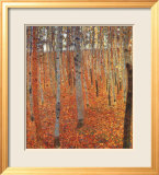 Beach Forest