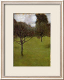Orchard