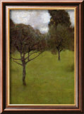 Orchard