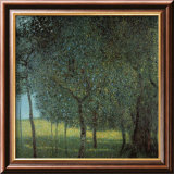 Fruit Trees