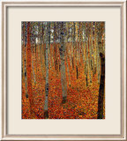 Beach Forest