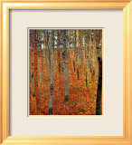 Beach Forest