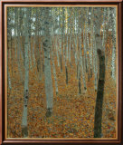 Forest of Beech Trees