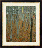Forest of Beech Trees