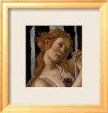 Primavera (detail)