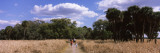 People Walking on a Trail  Myakka River State Park  Sarasota  Florida  USA