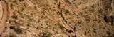 Mule Riders and Hikers on the Trail  South Kaibab Trail  Grand Canyon National Park  Arizona  USA