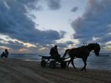 Palestinians Ride on Horse-Drawn Carts Along the Beach South of Gaza City