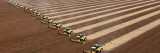 Workers on Combines Harvest Soybeans in Correntina  Northern Brazil
