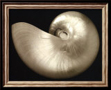 Ocean Keepsake I
