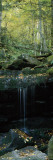 Waterfall in a Forest  Great Smoky Mountains National Park  North Carolina  USA