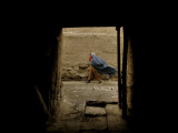Burqa Clad Afghan Woman Carries Her Baby as She Walks on a Street of Old Kabul