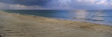 Loggerhead Turtle Tracks on the Beach  Casey Key  Osprey  Sarasota County  Florida  USA