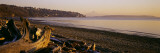 Driftwood on the Beach  Discovery Park  Mt Rainier  Seattle  King County  Washington State  USA