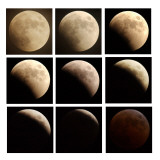 This Sequence of Photographs Shows the Total Eclipse of the Moon over Denver  Colorado