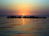 Fishermen Demonstrate Off the Coast of the Village of Malkiya  Bahrain  at Sunset