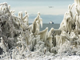 US Coast Guard Icebreaker Along the Shore of Lake Erie as Ducks Fly Overhead