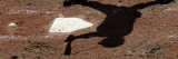 Atlanta Braves' Gregor Blanco Hits at a Spring Training Baseball Game Against the Detroit Tigers