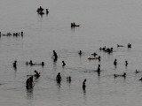 Bathers Take Advantage of the Fine Weather Prevailing in Jordan to Swim in the Dead Sea
