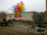 Horse Drawn Cart Drives Past as Balloons Tied to a Bicycle Flutter in the Wind