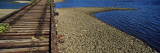 Old Railroad Trestle across a Shallow Bay at Low Tide Showing Oyster Beds  Sarasota County  Florida