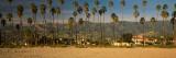 Palm Trees on the Beach  Santa Barbara  California  USA