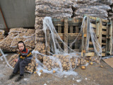 Ultra-Orthodox Jewish Child Sits Next to Piles of Potatoes  Preparations for Upcoming Passover