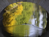 Duck Passes under a Bridge in Lazienki Park in Warsaw  Poland