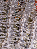 Performers Parade on a Float of Unidos Da Tijuca Samba School at Sambodrome in Rio De Janeiro