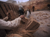 Workers Load the Bricks onto the Backs of Donkeys in Pakistan