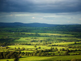 Pastoral Fields  Near Clonea  County Waterford  Ireland