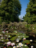 Lily Pond and Contemporary Sculpture  Lismore Castle  County Waterford  Ireland