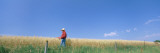 Farmer Standing in an Oat Field  Saunders County  Nebraska  USA