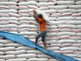 Worker Carries a Sack of Rice for Stock Inside a Government Warehouse