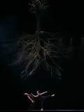 Dancers from the Dutch Dance Theatre Perform During Dress Rehearsal in the Bulgarian Capital Sofia