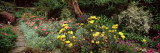 Garden of a Castle  Crathes Castle  Aberdeenshire  Scotland