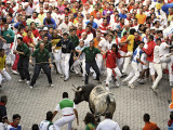 Hundreds Look at a Bull That Gored a Reveler During the Running of the Bulls at San Fermin Fiestas 