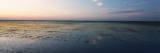 Flooded Rice Paddy Fields  Central Valley  California  USA