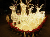 Child Watches a Christmas Light Display in Hanoi  Vietnam