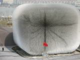 Worker Walks Near Uk Pavilion at Shanghai World Expo Site in Shanghai  China